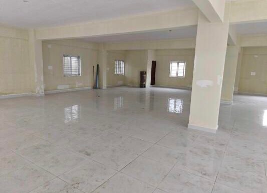 645683201M-1757585031828